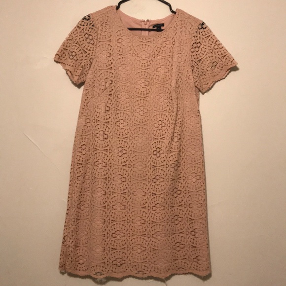 Ann Taylor Dresses & Skirts - Ann Taylor size 4 pink lace shift dress.